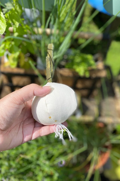 Stuffed Onion Pattern